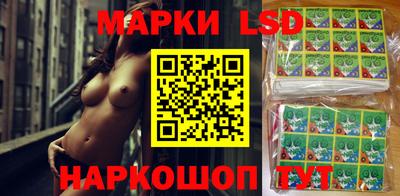 ПСИЛОЦИБИНОВЫЕ ГРИБЫ Будённовск