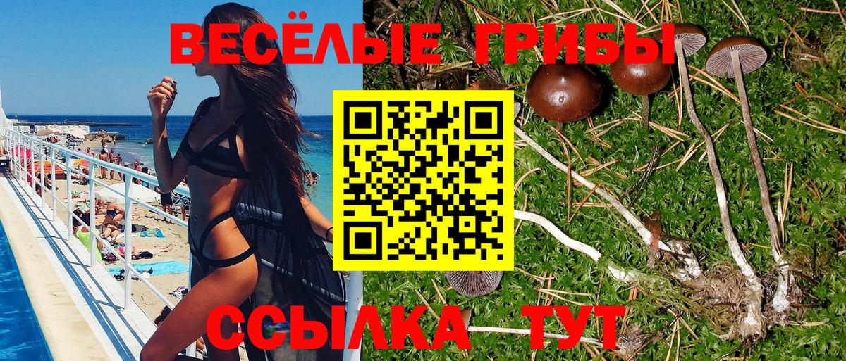 Галлюциногенные грибы GOLDEN TEACHER Саянск