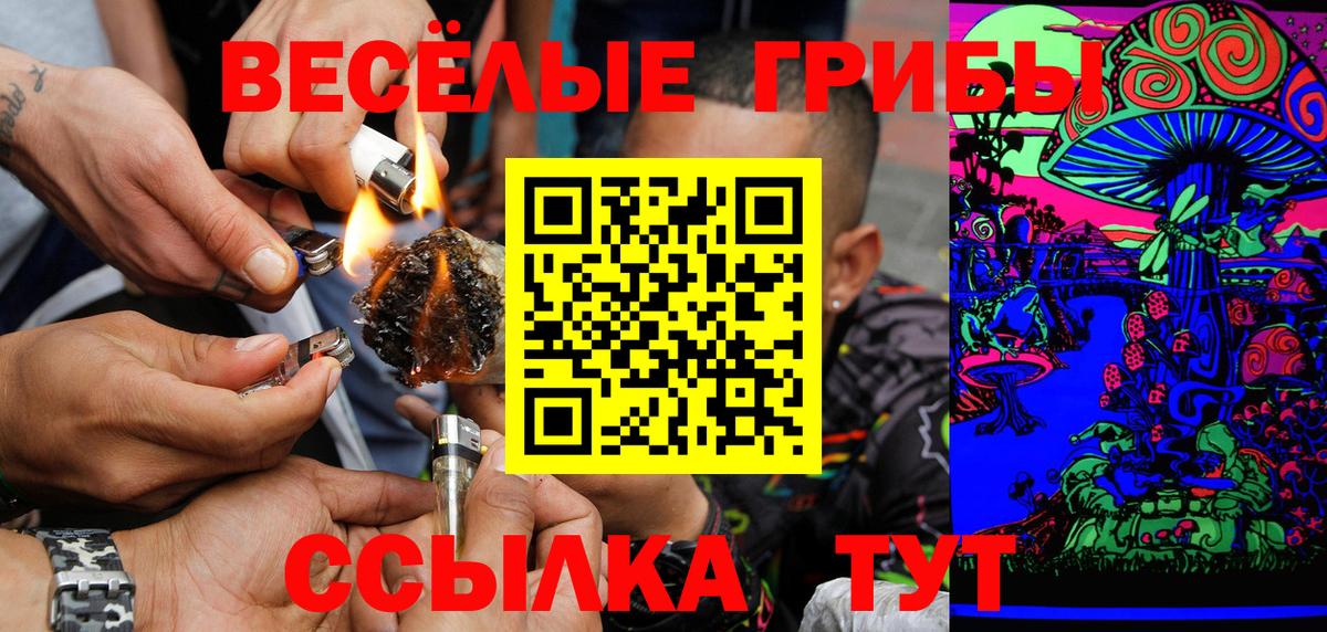 Псилоцибиновые грибы Cubensis  Псилоцибиновые грибы мицелий  Вход с VPN  Саянск 